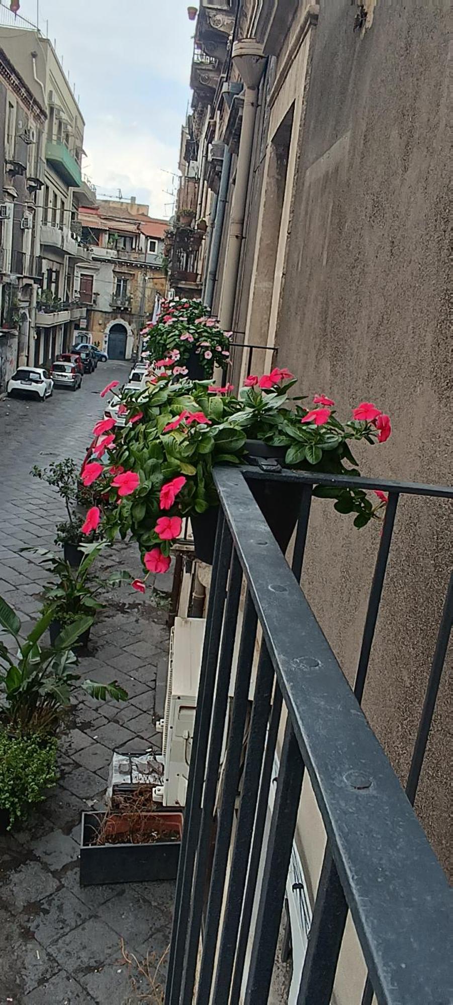 Nimia B&B Di Nic & Fra Catania Esterno foto